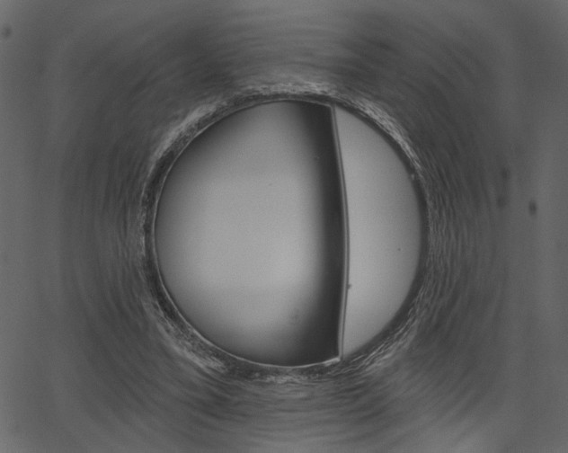 X0000067390395200603311001