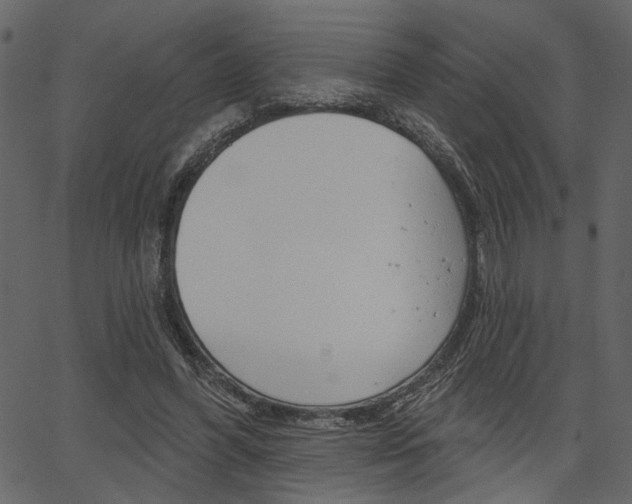 X0000067390396200603311001