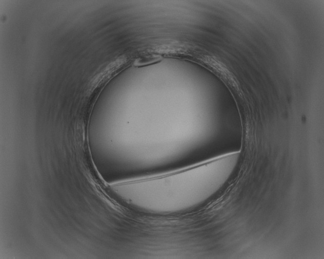 X0000067390397200603311001