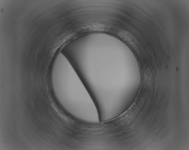 X0000067390398200603311000