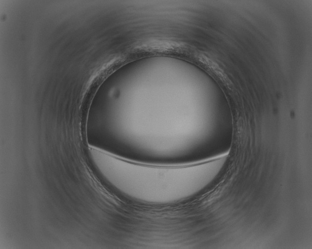 X0000067390399200603311000