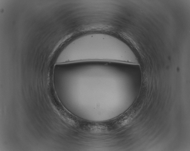 X0000067390400200603311000