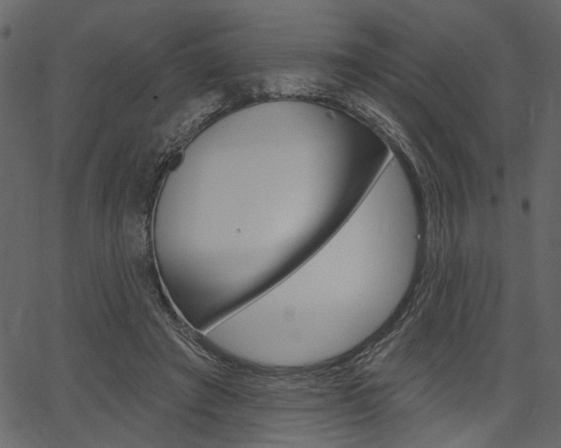 X0000067390401200603311000