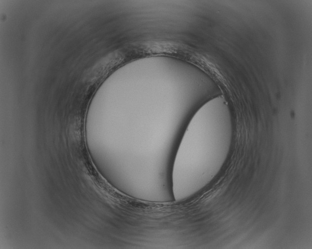 X0000067390402200603311000