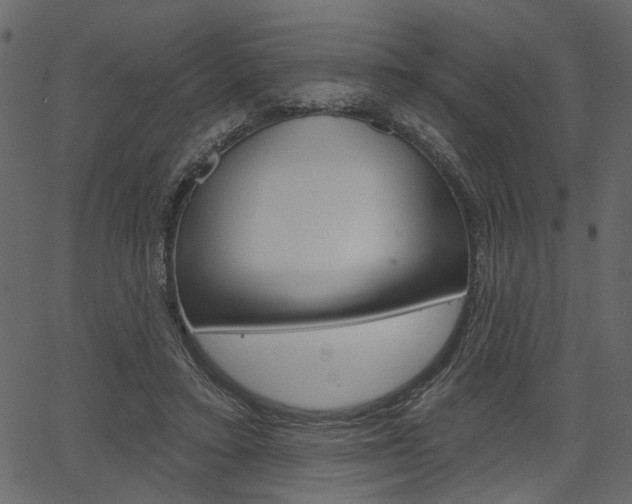 X0000067390403200603311000