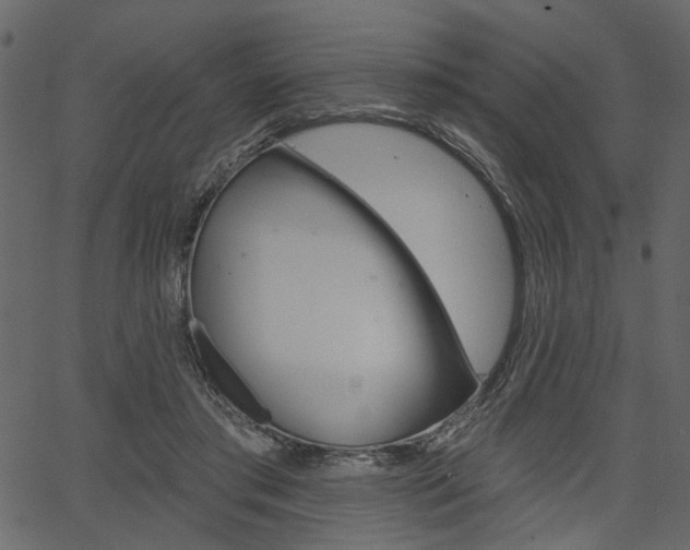 X0000067390405200603311000