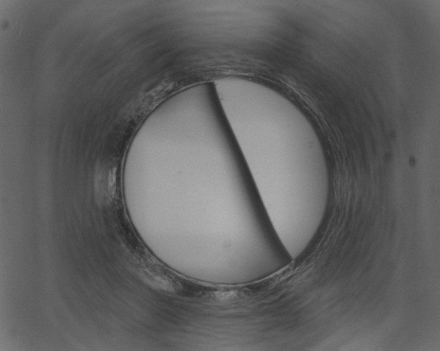 X0000067390406200603311000