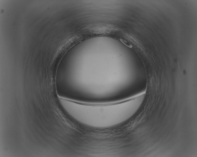 X0000067390407200603311000