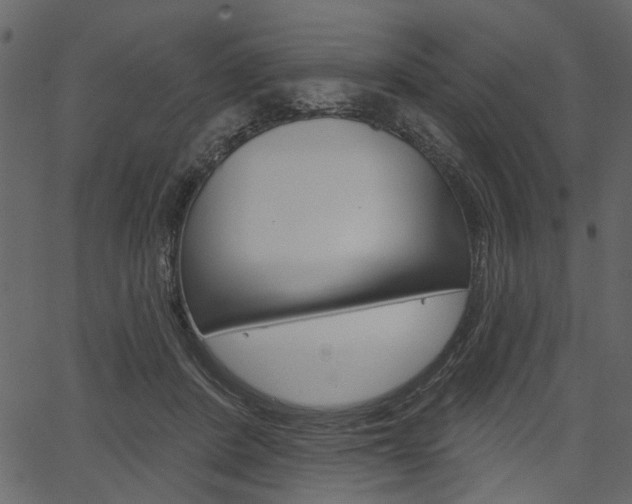 X0000067390408200603311000