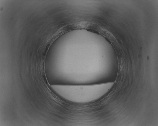 X0000067390409200603311000