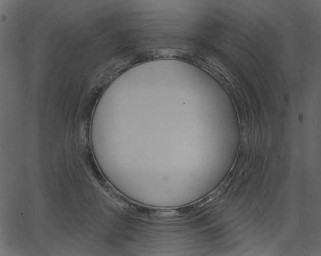 X0000067390410200603311000