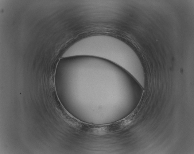 X0000067390411200603311000