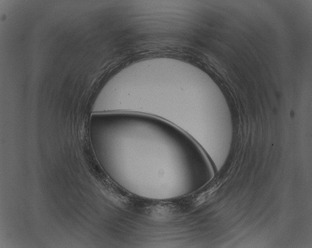 X0000067390412200603311000