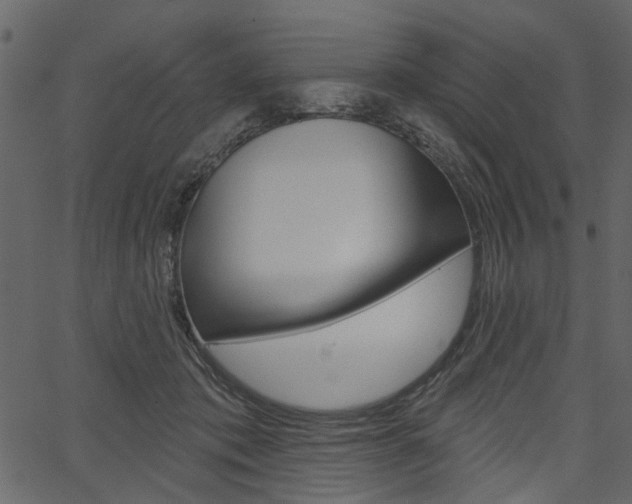 X0000067390413200603311000