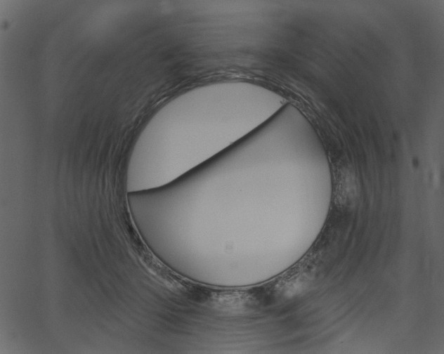 X0000067390414200603311000