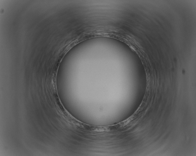 X0000067390415200603311000