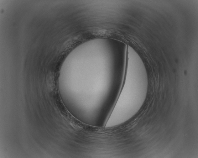 X0000067390416200603311000