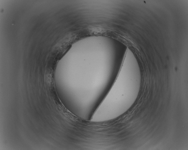 X0000067390417200603311000