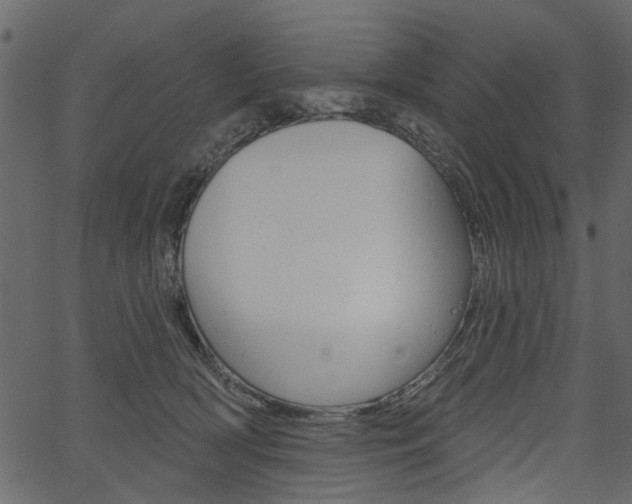 X0000067390418200603311000