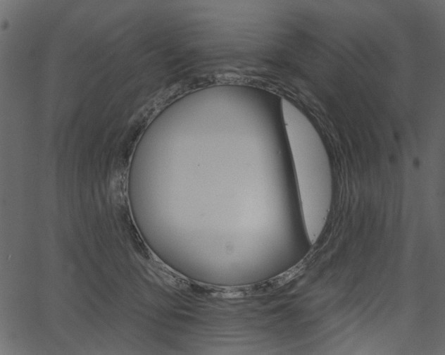 X0000067390419200603311000