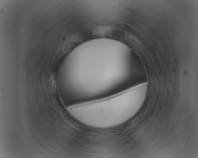 X0000067390420200603311000