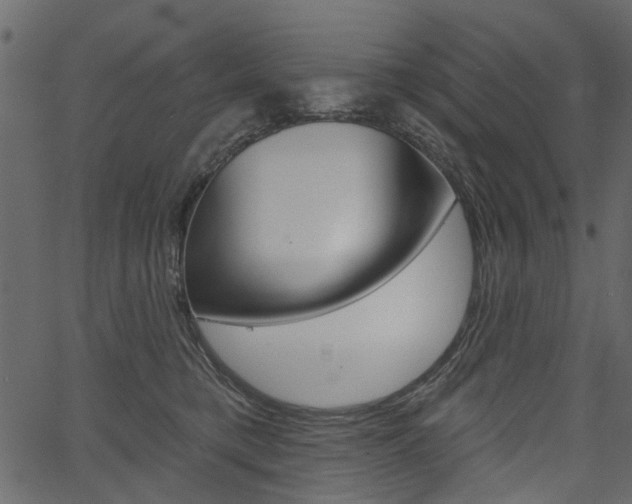 X0000067390421200603311000