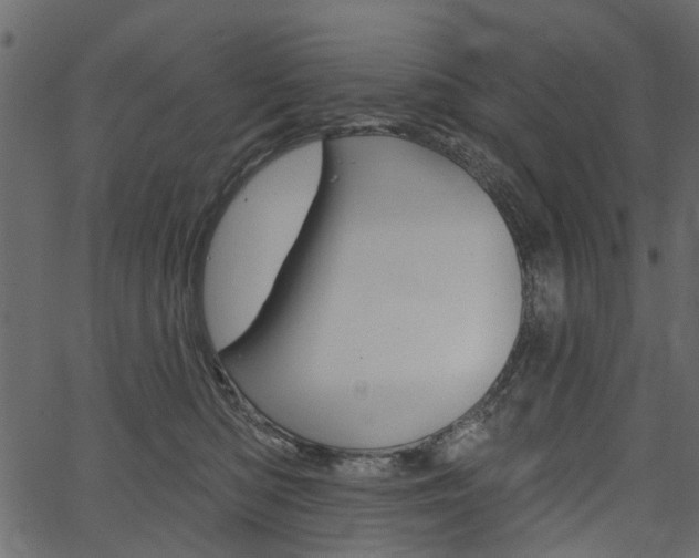 X0000067390422200603311000