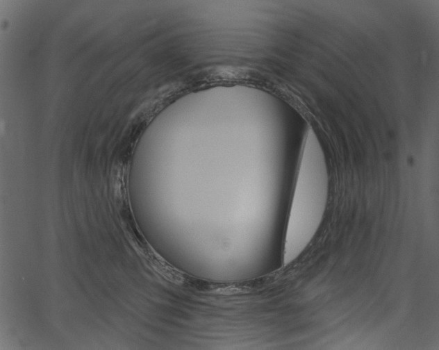 X0000067390423200603311000