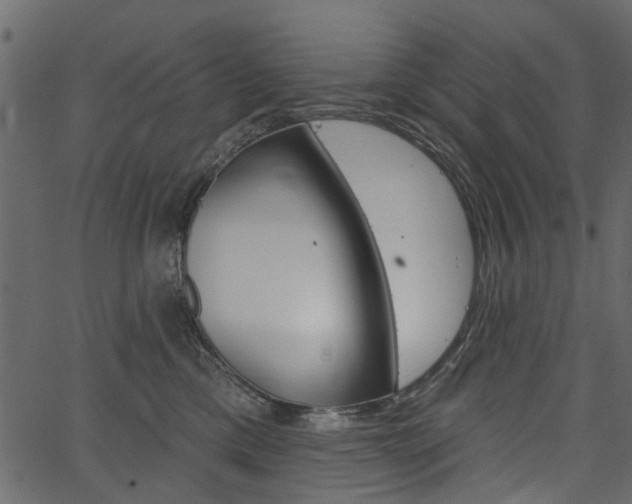 X0000067390425200603311000