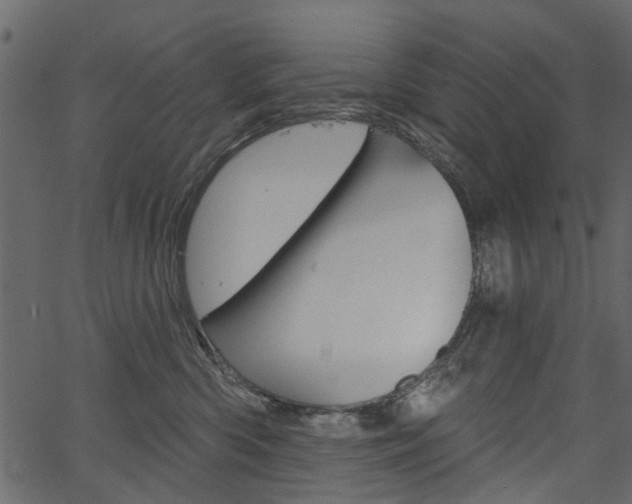 X0000067390426200603311000