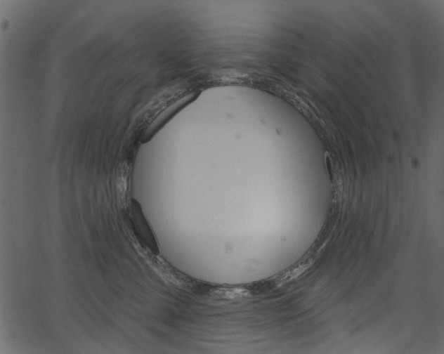 X0000067390427200603311000