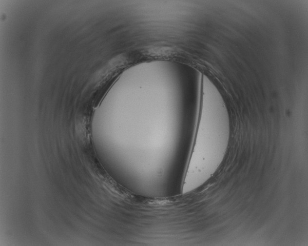 X0000067390428200603311000