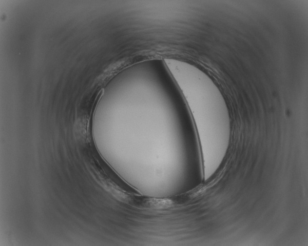 X0000067390429200603311000