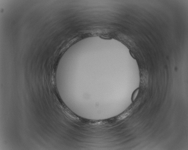 X0000067390430200603311000