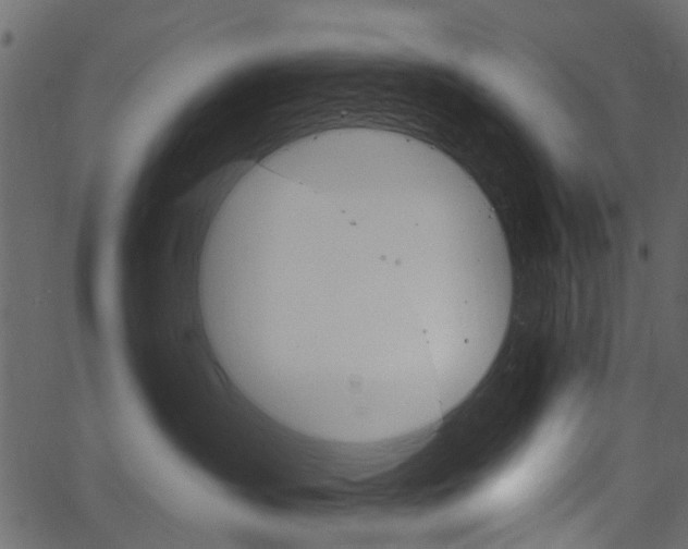 X0000067390431200603311000