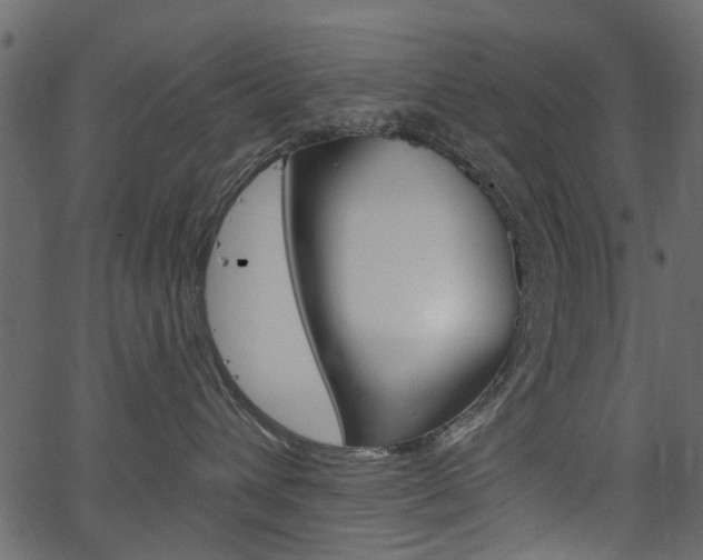 X0000067390432200603311000