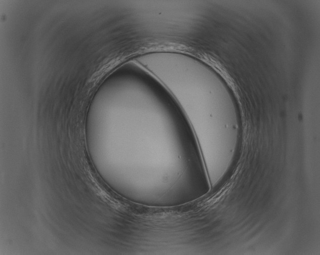 X0000067390433200603310959