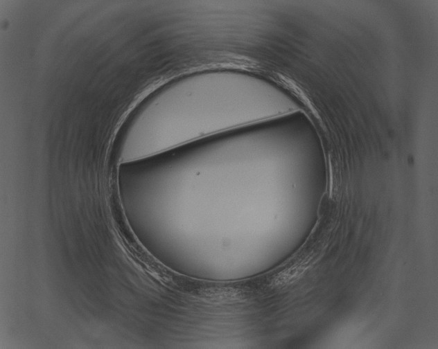 X0000067390435200603310959