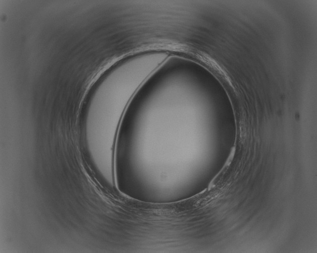 X0000067390436200603310959