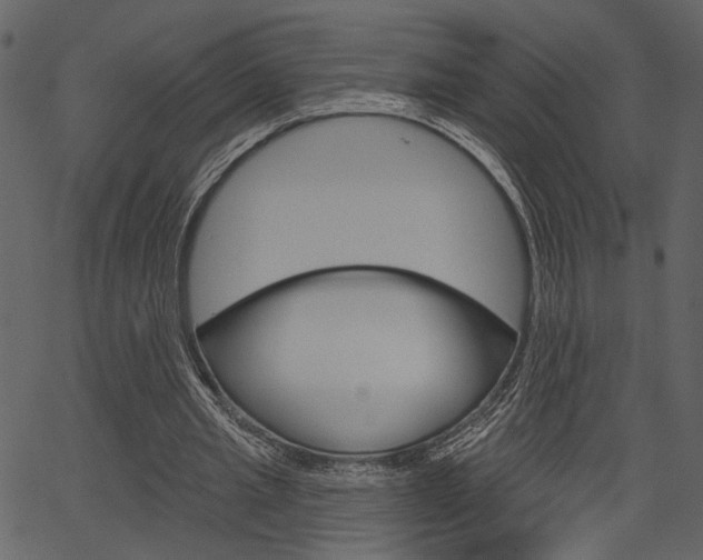 X0000067390437200603310959