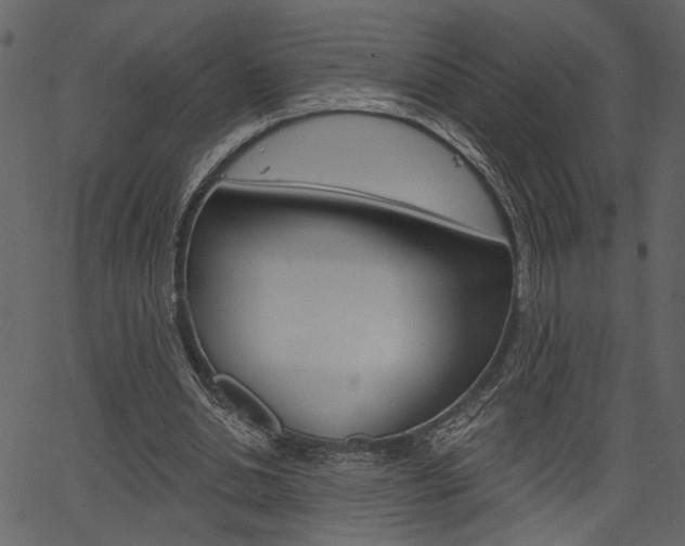 X0000067390438200603310959