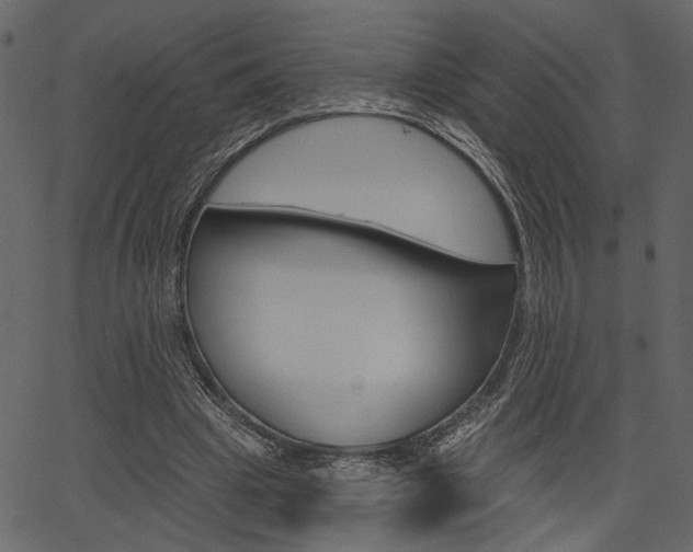 X0000067390441200603310959