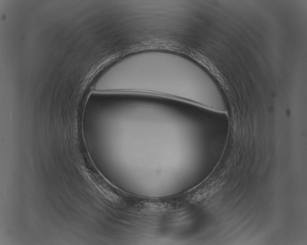 X0000067390442200603310959