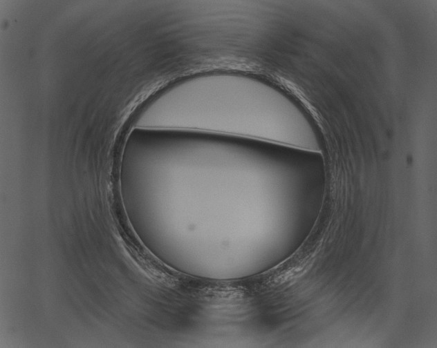 X0000067390443200603310959