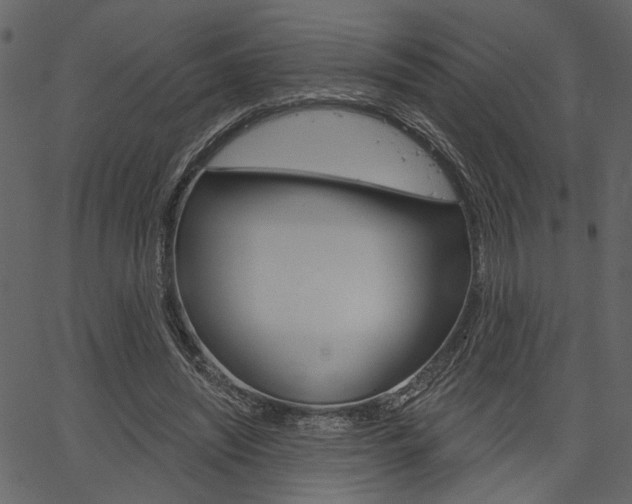 X0000067390444200603310959