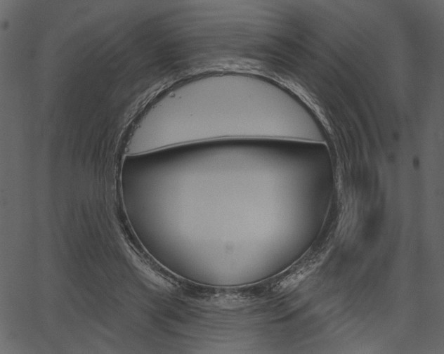 X0000067390445200603310959