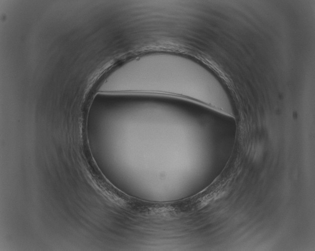 X0000067390446200603310959