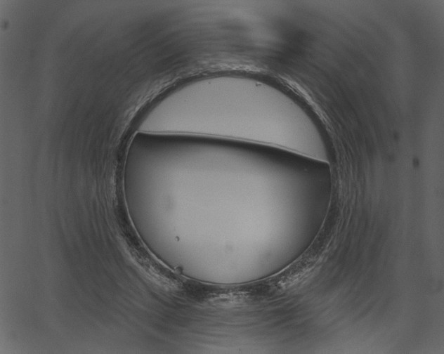 X0000067390447200603310959