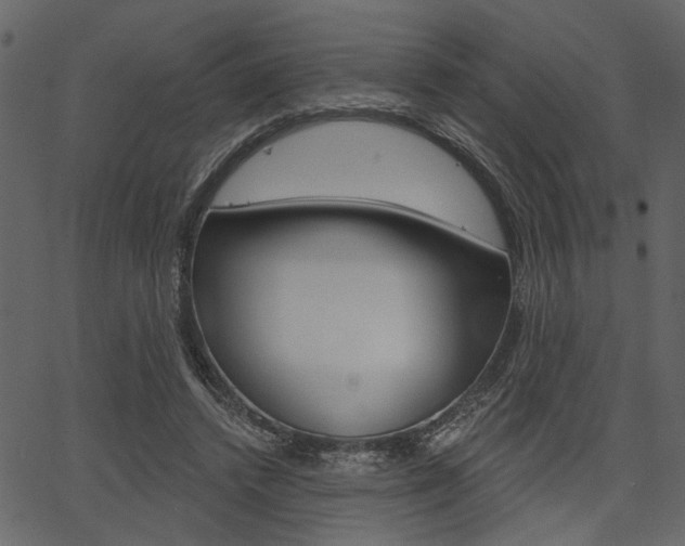 X0000067390448200603310959