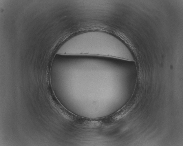 X0000067390449200603310959